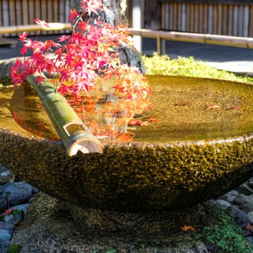 Enko-ji, fontaine suikinkutsu ornée d'une branche d'érable