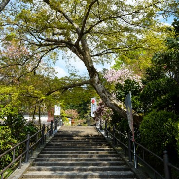 Oka-dera (Asuka), escalier en pierre au printemps