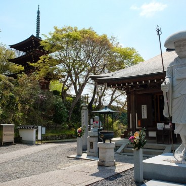 Oka-dera (Asuka), enceinte du temple Shingon au printemps