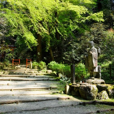 Oka-dera (Asuka), enceinte du temple au printemps et torii shinto 2