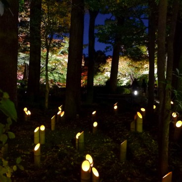 Parc Otaguro (Tokyo), illuminations nocturnes du jardin japonais en automne