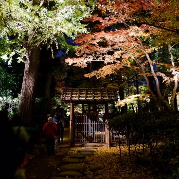 Parc Otaguro (Tokyo), vue de nuit et en automne sur l'entrée du jardin japonais