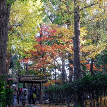 Parc Otaguro (Tokyo), entrée du jardin japonais en automne