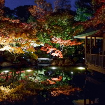 Parc Otaguro (Tokyo), vue de nuit et en automne sur le plan d'eau du jardin japonais 