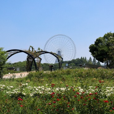 Parc Expo'70 (Osaka), jardin de roses et vue sur la grande roue de LaLaport EXPOCITY