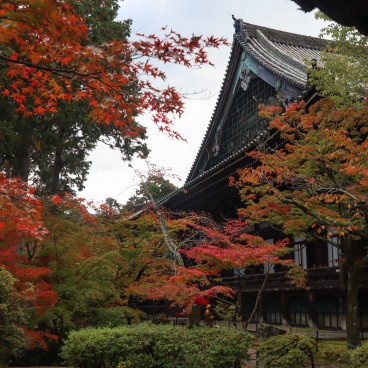 Shinnyo-do (Shinshogokuraku-ji), vue sur les érables rouges et les pavillons du temple