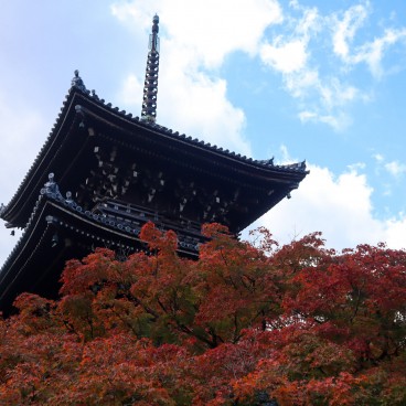 Shinnyo-do (Shinshogokuraku-ji), vue sur les érables rouges et la pagode