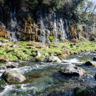 Chutes d'eau de Shiraito, paysage au pied des cascades