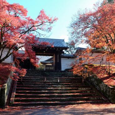 Manshu-in (Kyoto), porte Chokushi-mon en automne