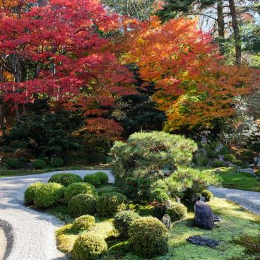 Manshu-in (Kyoto), jardin sec en automne vu du Daishoin