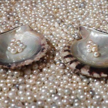 Ile des perles de Mikimoto, exposition du musée des perles