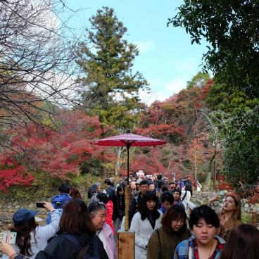 Quartier de Yase, file d'attente en automne pour accéder au Ruriko-in