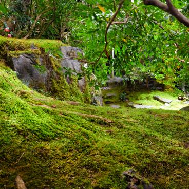Ruriko-in, jardin Yamaroji-no-niwa