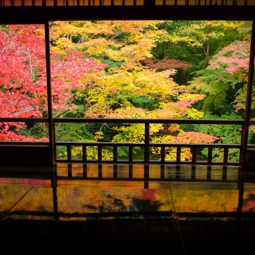 Ruriko-in, jardin Ruri-no-niwa et son reflet sur la table laquée en automne