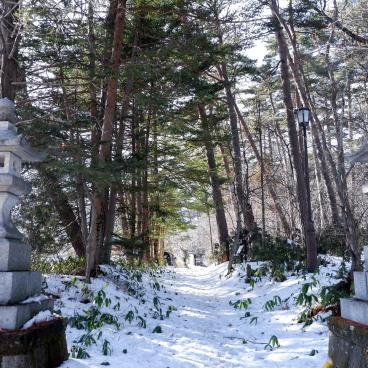 Shirane-jinja (Kusatsu), allée du sanctuaire sous la neige 2