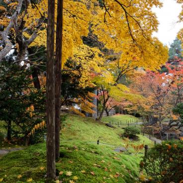 Aizu-Wakamatsu, jardin Oyakuen à l'automne