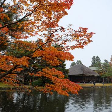 Aizu-Wakamatsu, jardin Oyakuen à l'automne 2