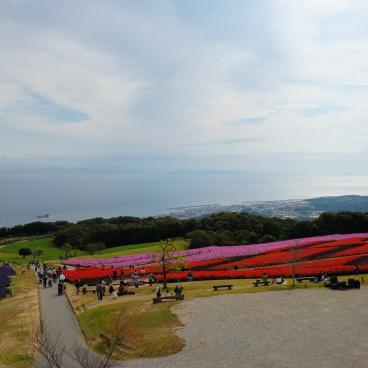 Awaji, parc floral Awaji Hanasajiki à l'automne