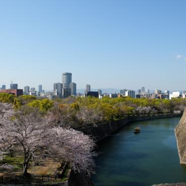Osaka (Kansai), vue sur les cerisiers en fleur et les douves du château d'Osaka