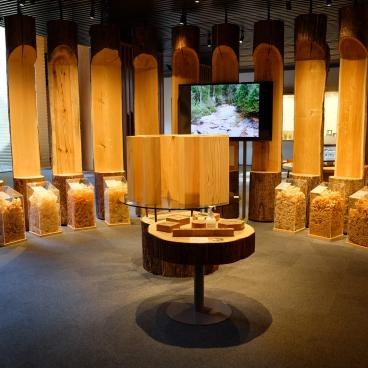 Musée des outils de charpentier de Takenaka, exposition d'essences de bois