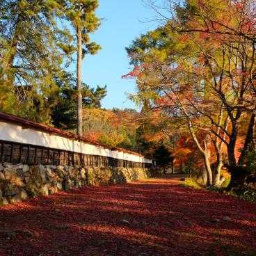 Oku Aizu (Yanaizu), vue sur les érables du temple Enzo-ji en automne