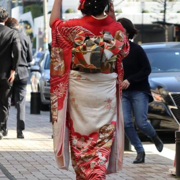 Jeunes japonaises en kimono furisode pour Seijin no hi 4