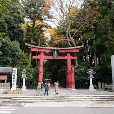 Yahiko-jinja, torii vermillon à l'entrée du sanctuaire