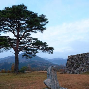 Ruines du château de Takeda, dernier pin debout au sommet de la montagne