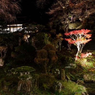 Higashiyama Onsen Mukaitaki, vue sur le jardin japonais de nuit et en automne