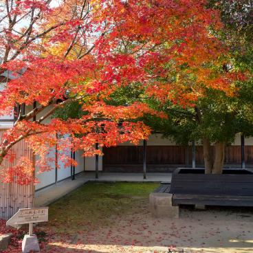 Koko-en, promenade entre les jardins