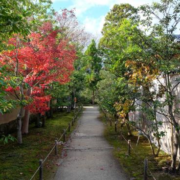 Koko-en, promenade entre les jardins 2