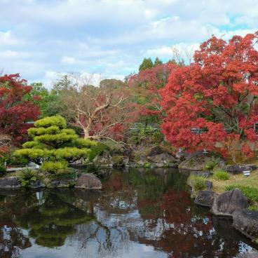 Koko-en, jardin des collines et des eaux en novembre