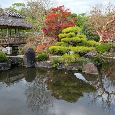 Koko-en, jardin des collines et des eaux en novembre 2