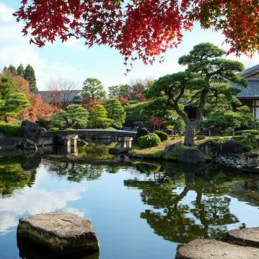 Koko-en, jardin de la résidence du seigneur, plan d'eau et érables rouges en novembre