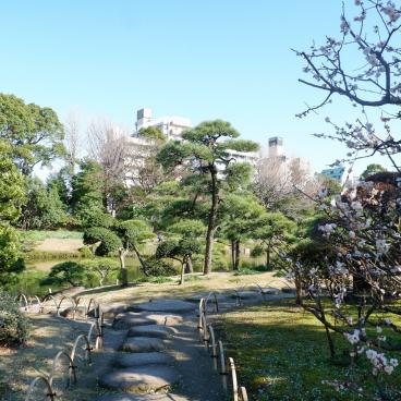 Kiyosumi Teien, allée de promenade du jardin