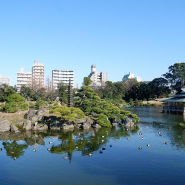 Kiyosumi Teien, panorama sur le jardin japonais en hiver