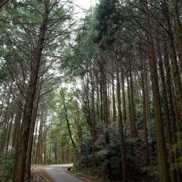 Parc Settsukyo (Osaka), sentier de randonnée 2