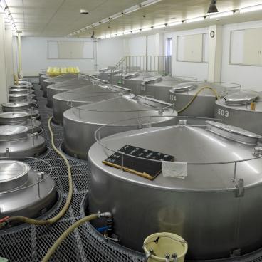 Brasserie de saké Kamotsuru Shuzo (Saijo, Higashi-Hiroshima), processus de fabrication