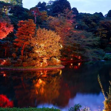Chinzan-so Teien (Tokyo), étang Yusuichi à la nuit tombée