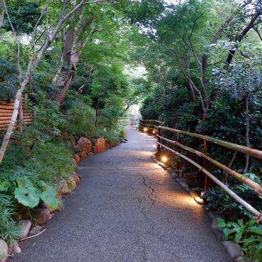 Chinzan-so Teien (Tokyo), allée du jardin à la nuit tombée 2