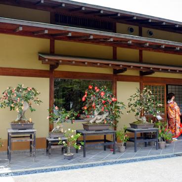 Parc Daisen (Sakai, Osaka), exposition de bonsaï au jardin japonais
