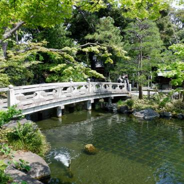 Hana Matsuri au temple Nishiarai Daishi (Tokyo), pont de pierre et pavillon Benten