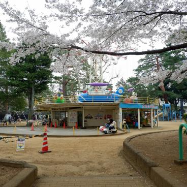 Parc d'Omiya (Saitama), aire de jeux pour enfants avec manèges et sakura