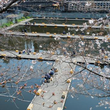 Parc Sotobori (Tokyo), centre de pêche d'Ichigaya