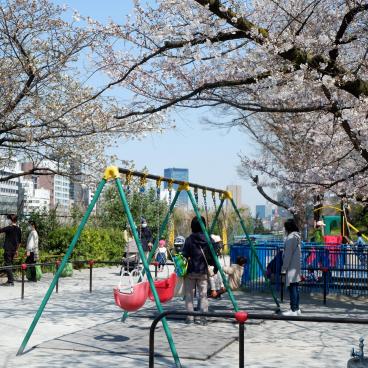 Parc Sotobori (Tokyo), aire de jeux pour enfants sous les cerisiers en fleurs