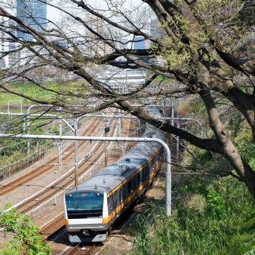 Parc Sotobori (Tokyo), vue sur une rame de train de la ligne JR Chuo