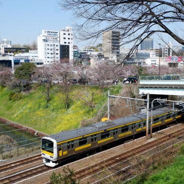 Parc Sotobori (Tokyo), vue sur une rame de train de la ligne Sobu