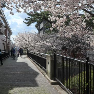 Parc Shukugawa (Hyogo), vue depuis le pont de la gare de Koroen sur la ligne Hanshin