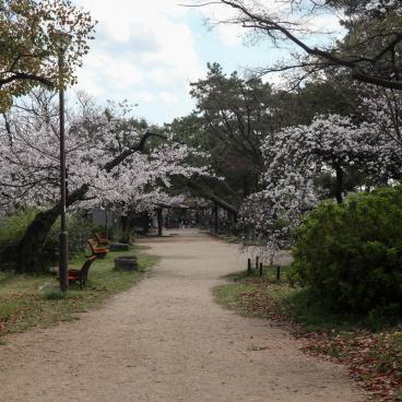 Parc Shukugawa (Hyogo), allée de promenade au bord de la rivière