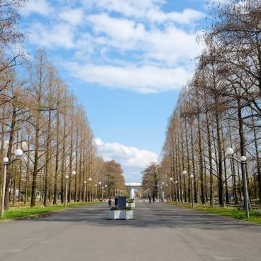 Parc Tsurumi Ryokuchi, avenue principale du parc